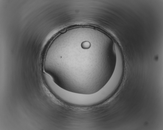 X0000116551122200912311906