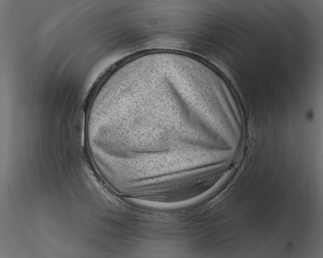 X0000116551123200912311906