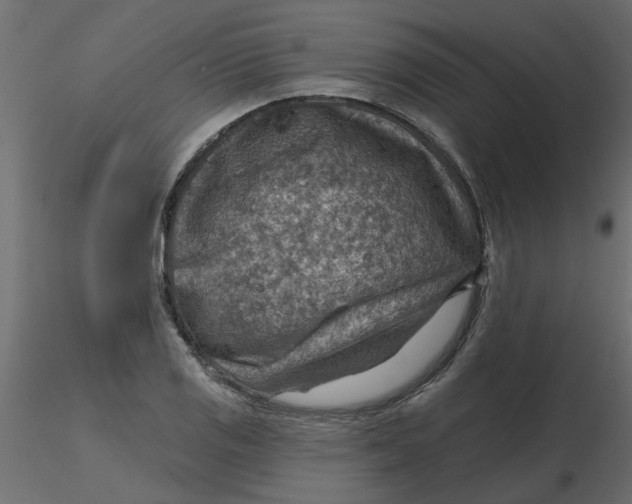 X0000116551125200912311906