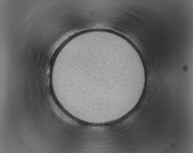 X0000116551126200912311906