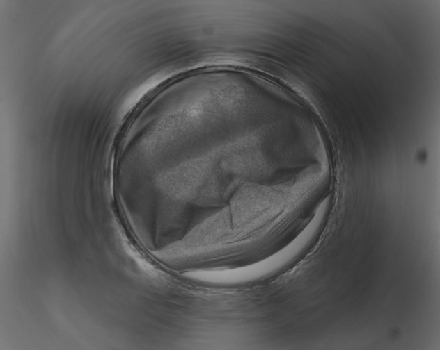 X0000116551127200912311906