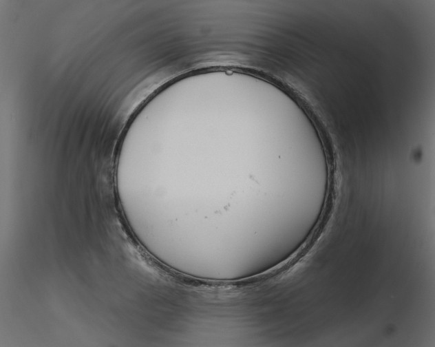 X0000116551129200912311906