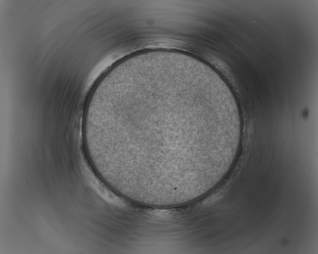 X0000116551130200912311906