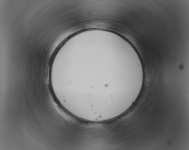 X0000116551131200912311906