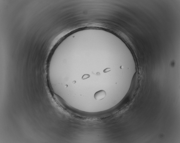 X0000116551133200912311906