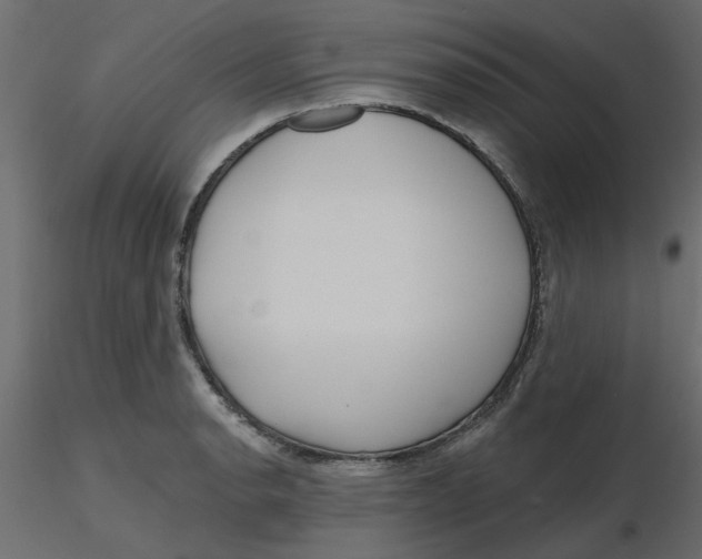 X0000116551134200912311906