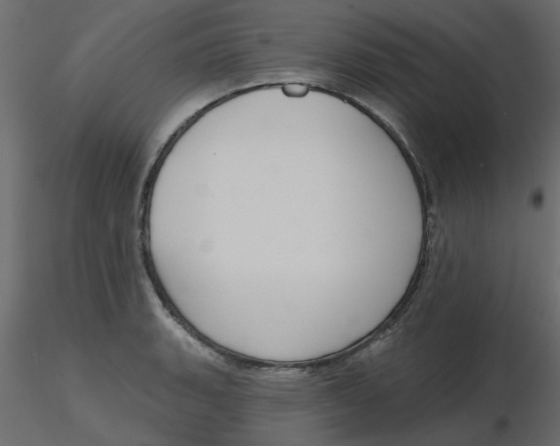 X0000116551135200912311906