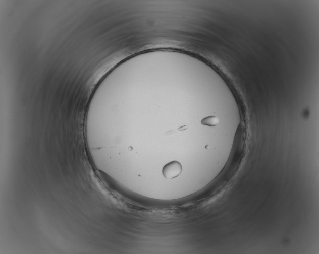 X0000116551137200912311906