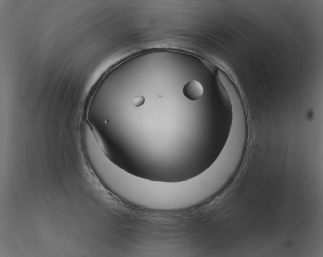 X0000116551138200912311906