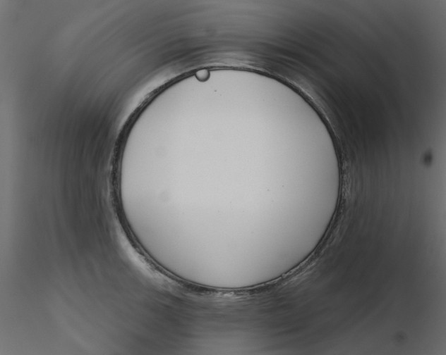 X0000116551139200912311906