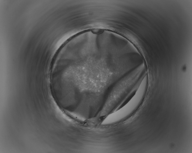 X0000116551141200912311906