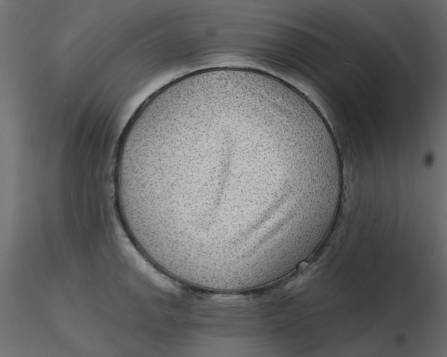 X0000116551142200912311906