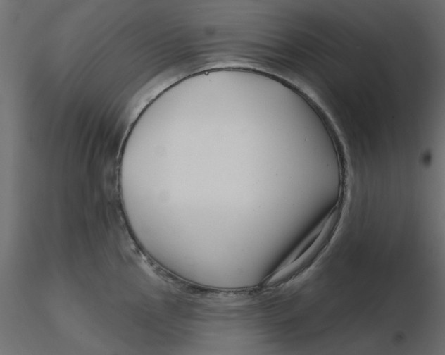 X0000116551145200912311906