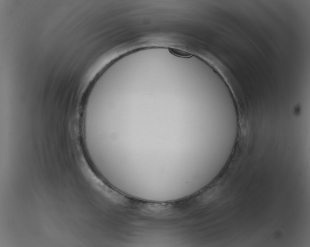 X0000116551147200912311906