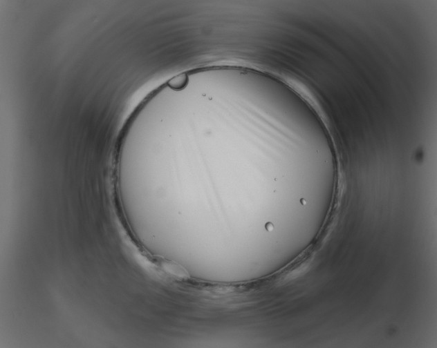 X0000116551149200912311906