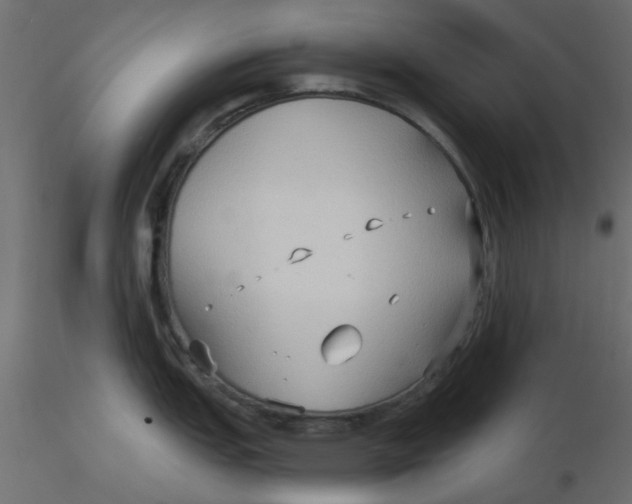 X0000116551151200912311906