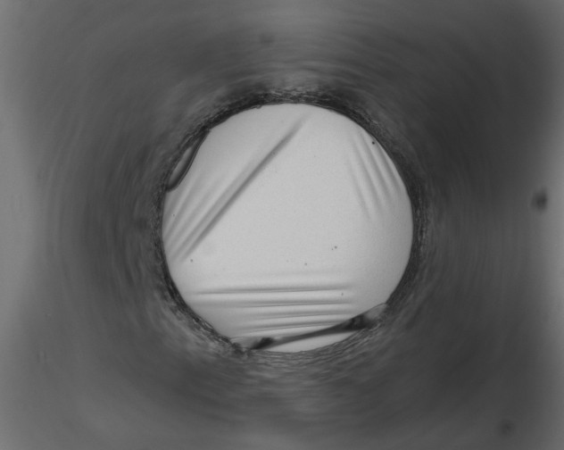 X0000116551153200912311905