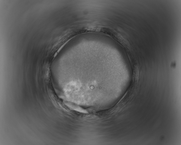 X0000116551154200912311905