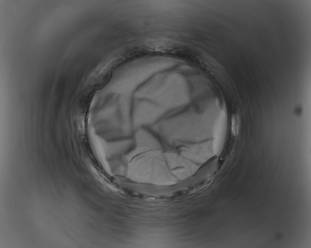 X0000116551155200912311905