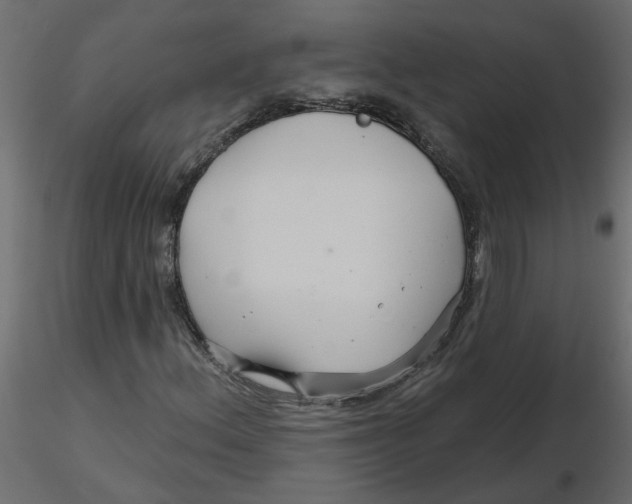 X0000116551156200912311905