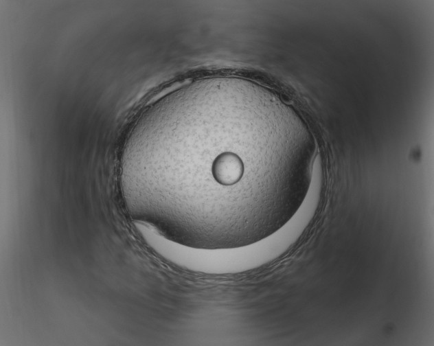 X0000116551157200912311905