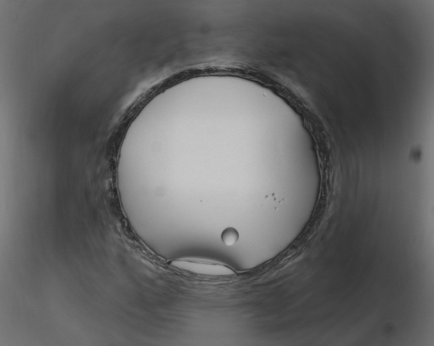 X0000116551160200912311905