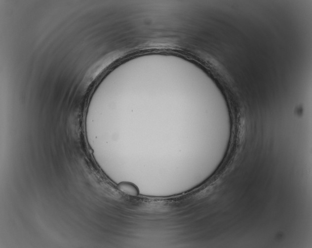 X0000116551162200912311905