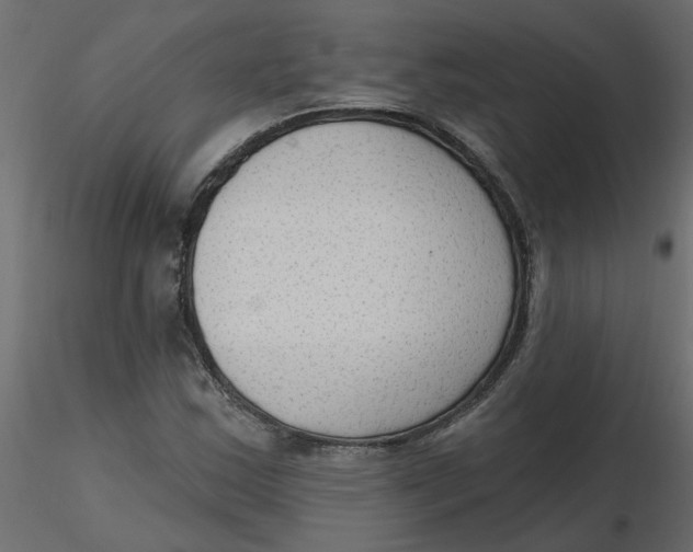 X0000116551163200912311905