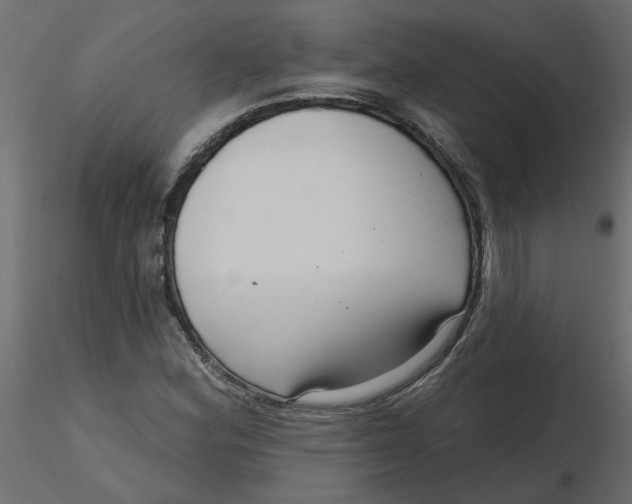 X0000116551164200912311905