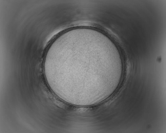 X0000116551166200912311905