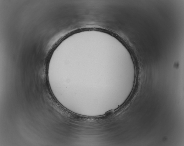 X0000116551167200912311905