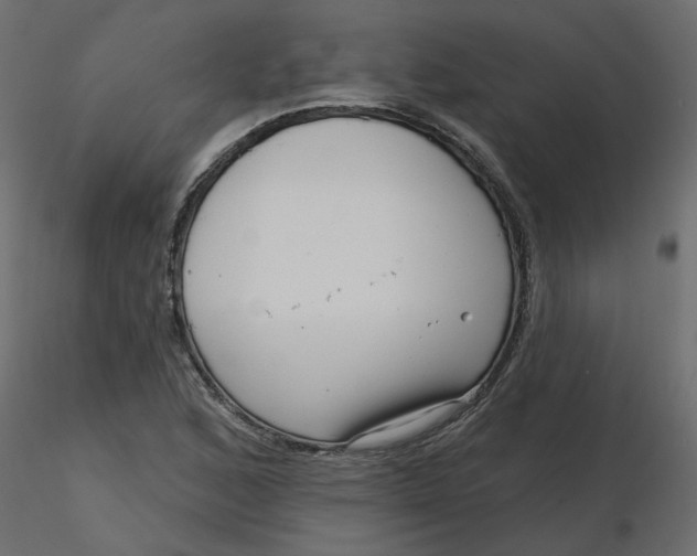 X0000116551168200912311905