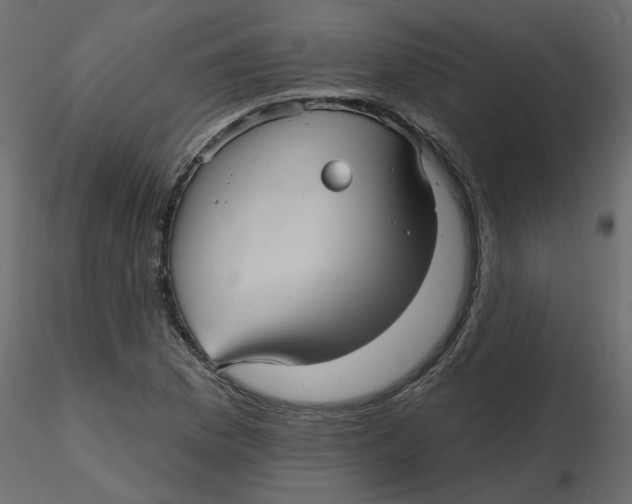 X0000116551169200912311905