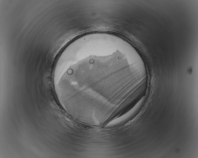 X0000116551170200912311905