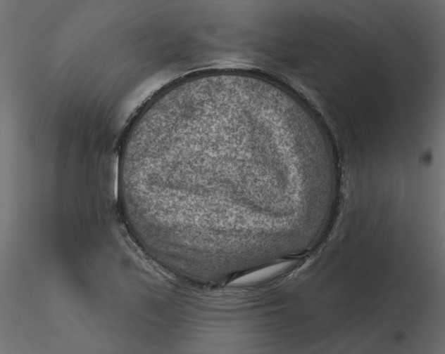 X0000116551171200912311905