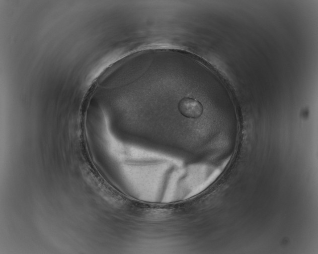 X0000116551173200912311905