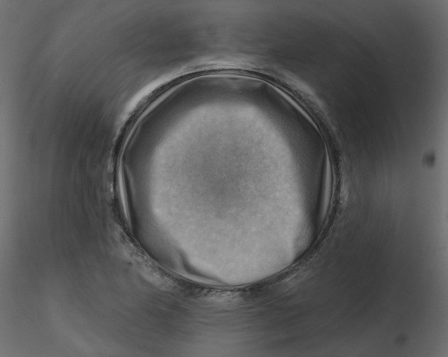 X0000116551174200912311905