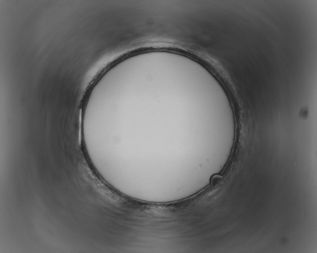 X0000116551175200912311905