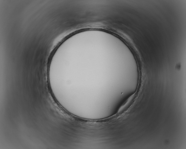 X0000116551176200912311905