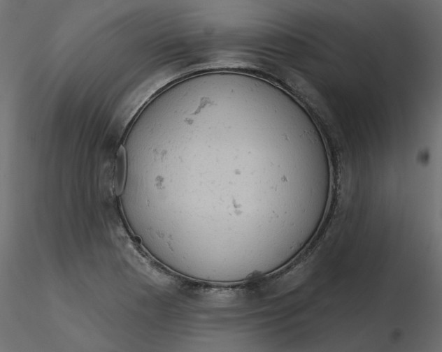 X0000116551177200912311905