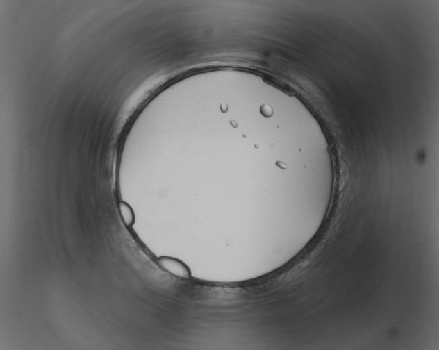 X0000116551180200912311905