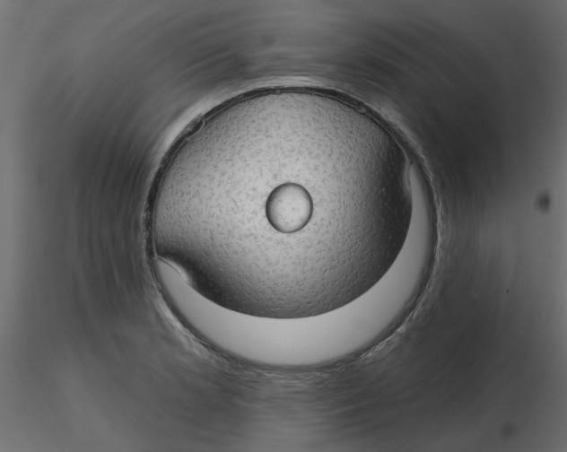 X0000116551181200912311905