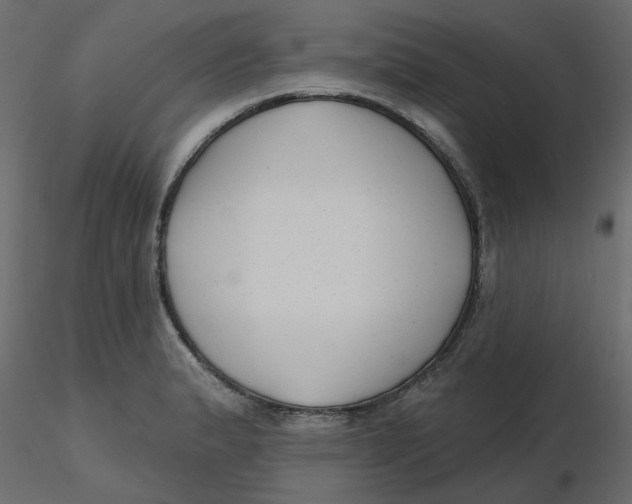 X0000116551183200912311905