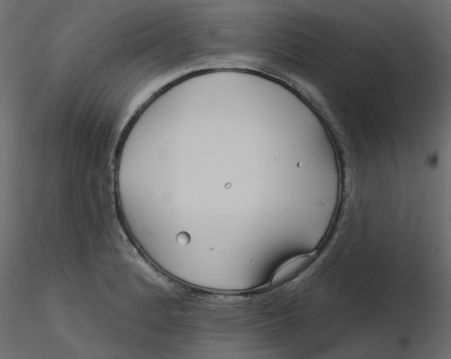 X0000116551184200912311905