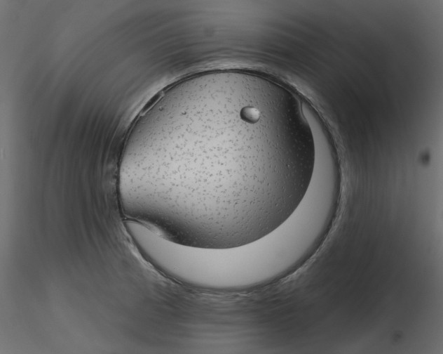 X0000116551185200912311905