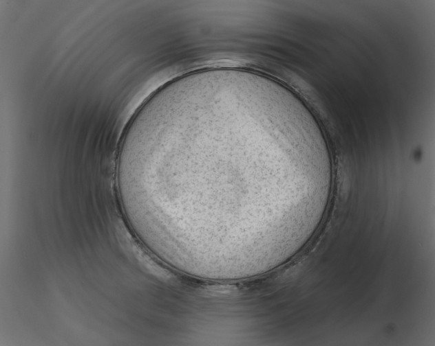 X0000116551186200912311905