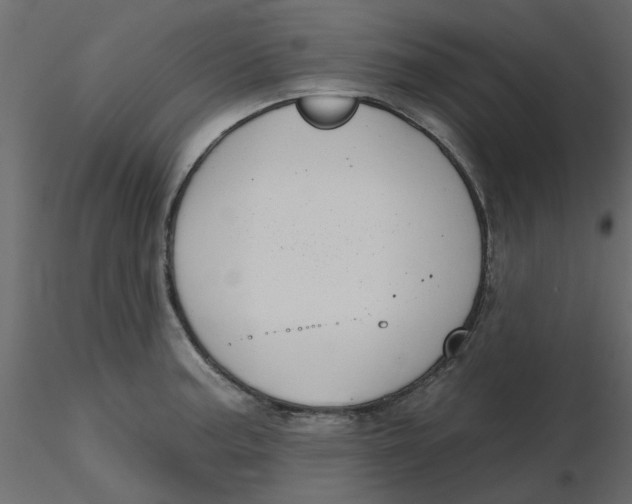 X0000116551187200912311905