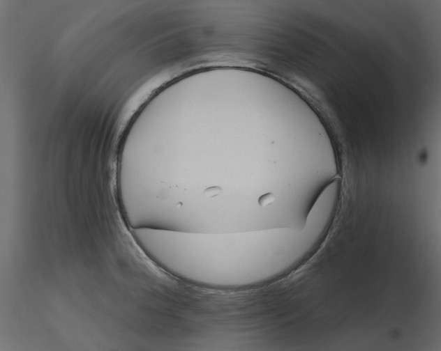 X0000116551188200912311905