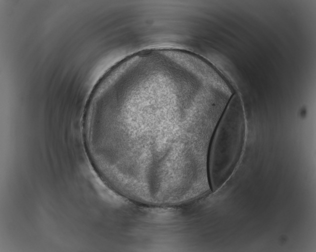 X0000116551189200912311905