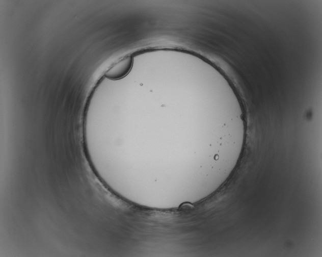 X0000116551191200912311905